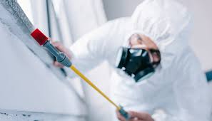 Best Residential Pest Control  in Cold Spring Harbor, NY